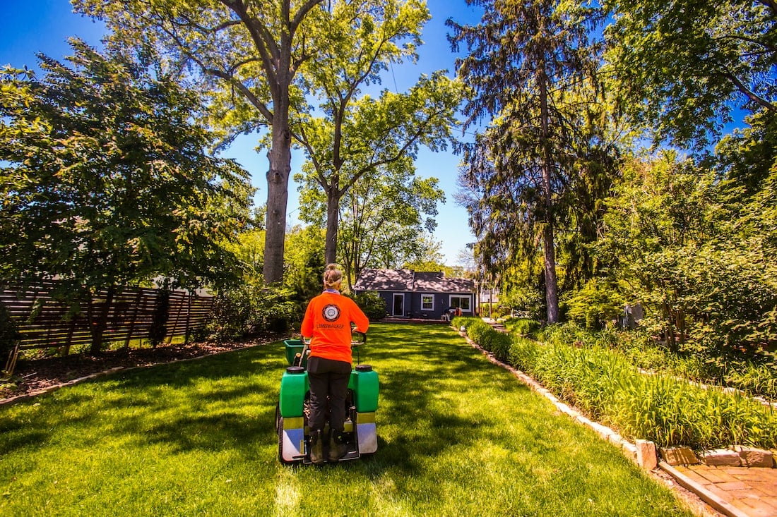 yard-lawn-treatment